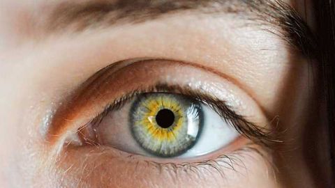 Structural Insights on Eye Membrane May Improve Corneal Transplants