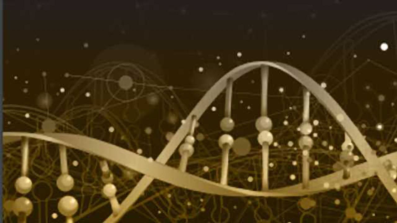 Forensic DNA Analysis