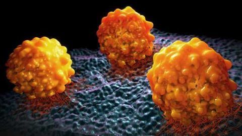 Cell Model Passports Provide Info on Cancer Cell Models