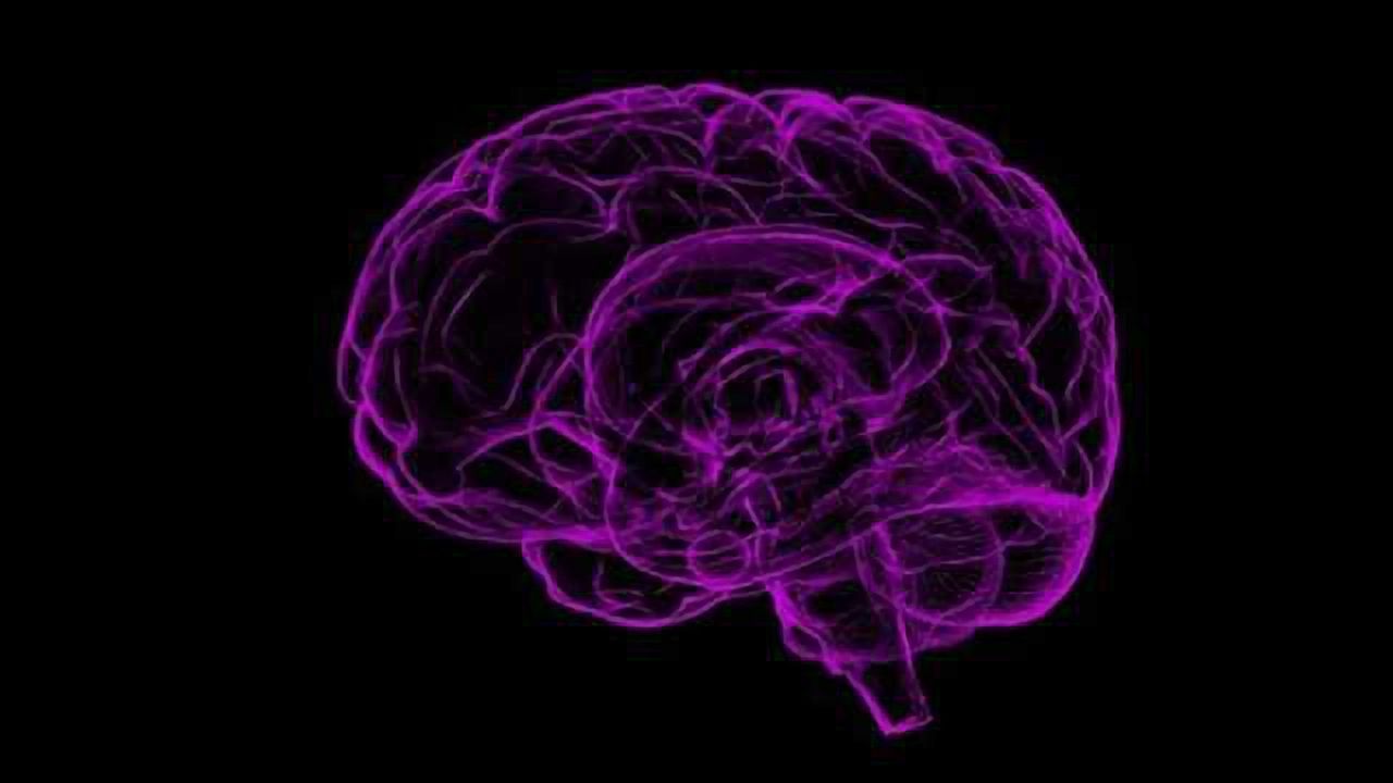 Protein Identified as Regulator of Glioblastoma Tumor Migration