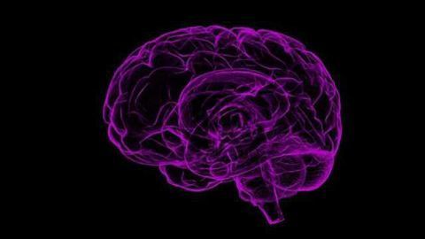 Protein Identified as Regulator of Glioblastoma Tumor Migration