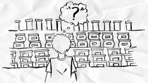 Can't Decide What to Have for Lunch? Scientists Uncover Why we get Overwhelmed by Choice