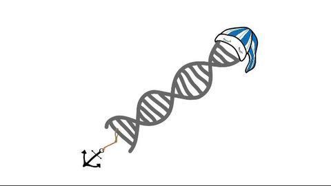 Awakening Dormant Genes at the Bottom of the Ocean