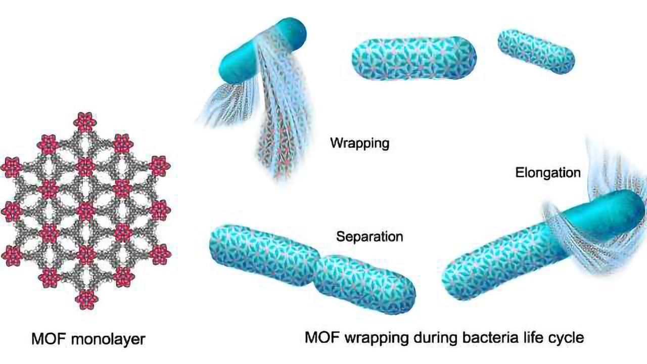 "Spacesuit" Protects Adventuring Microbes
