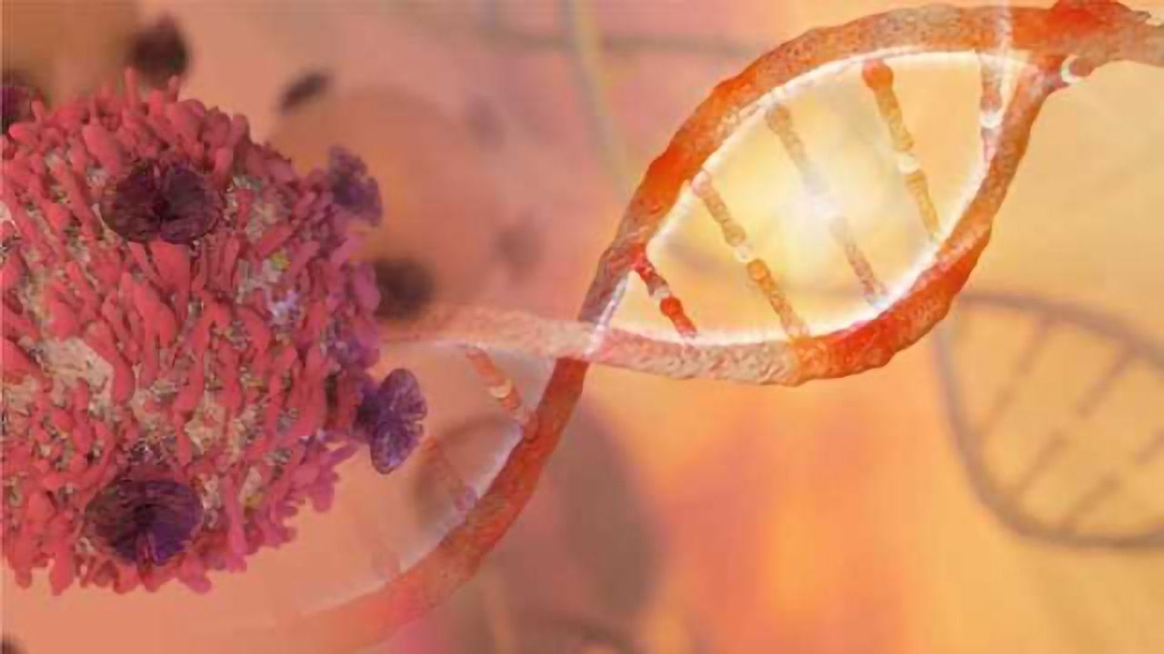 Study of Rare Cancer Offers Clues to Combat Drug Resistance