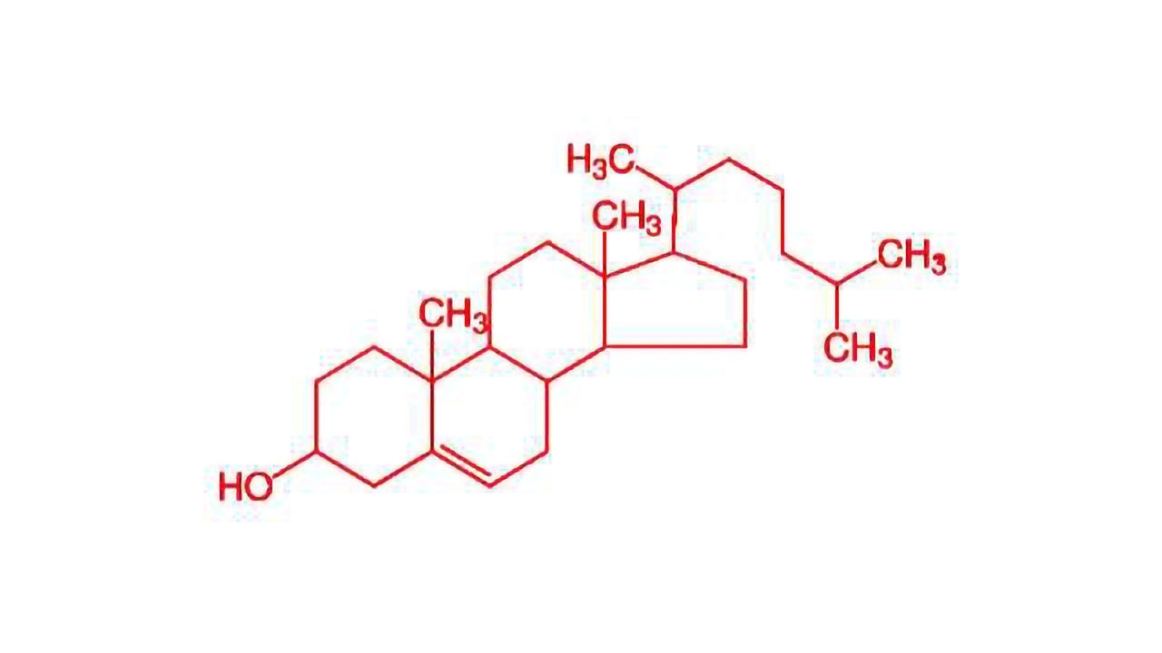 Gene Mutation Improves Cholesterol Profile