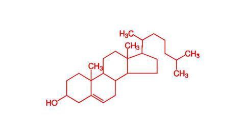 Gene Mutation Improves Cholesterol Profile
