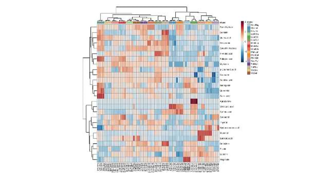 Untargeted Profiling of Metabolites: In Search of Cancer Biomarkers and Antibiotics