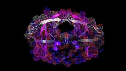 HIV Protease Movie HiRes