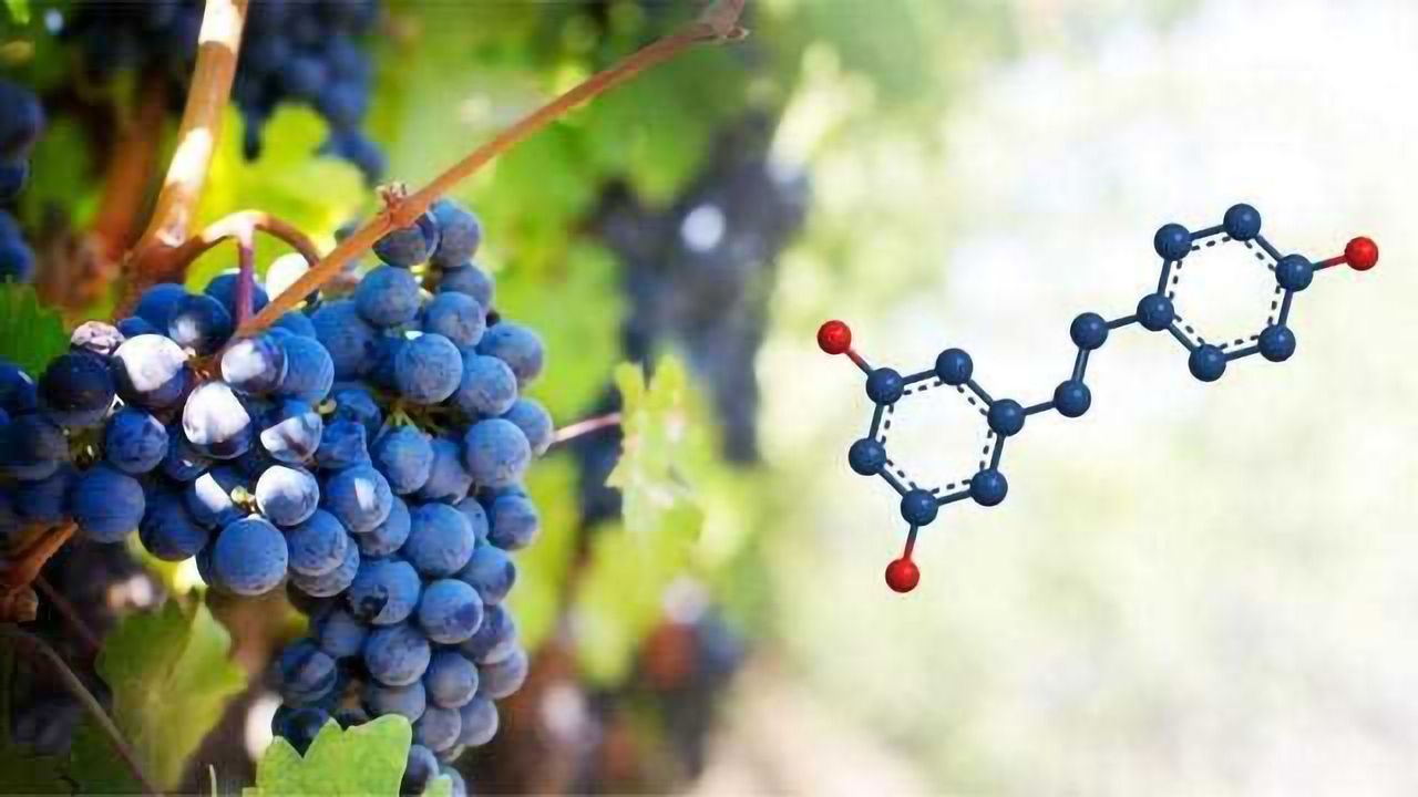 Grape Molecule Protects Against Cancer