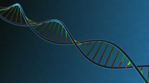 The Arch Mission Foundation Announces Digital Data Stored in DNA added to Lunar Library™