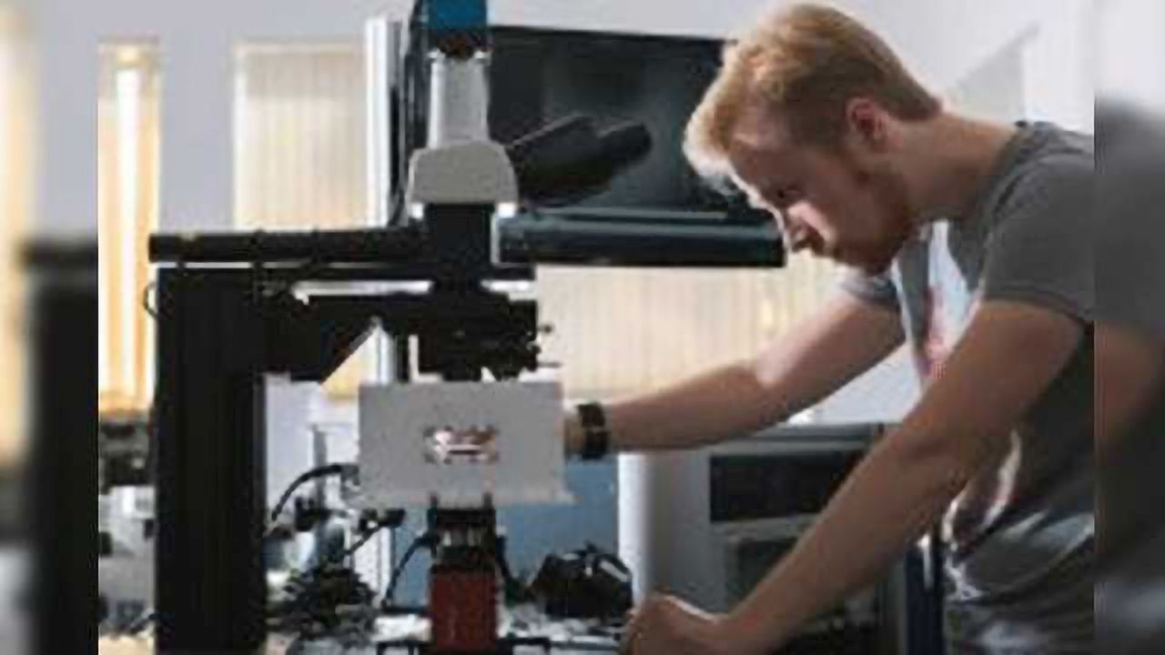 Mini Magnetic Swimming Devices May Revolutionize Diagnostics, Drug Delivery