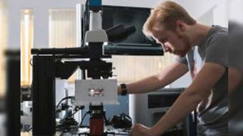 Mini Magnetic Swimming Devices May Revolutionize Diagnostics, Drug Delivery