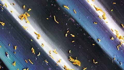 A CRISPR Recording Device for Cell History