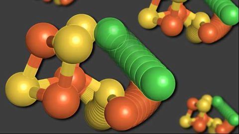Unexpected Enzyme Structure Holds Handy Properties