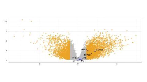 How Big Data Can Streamline Cancer Therapy