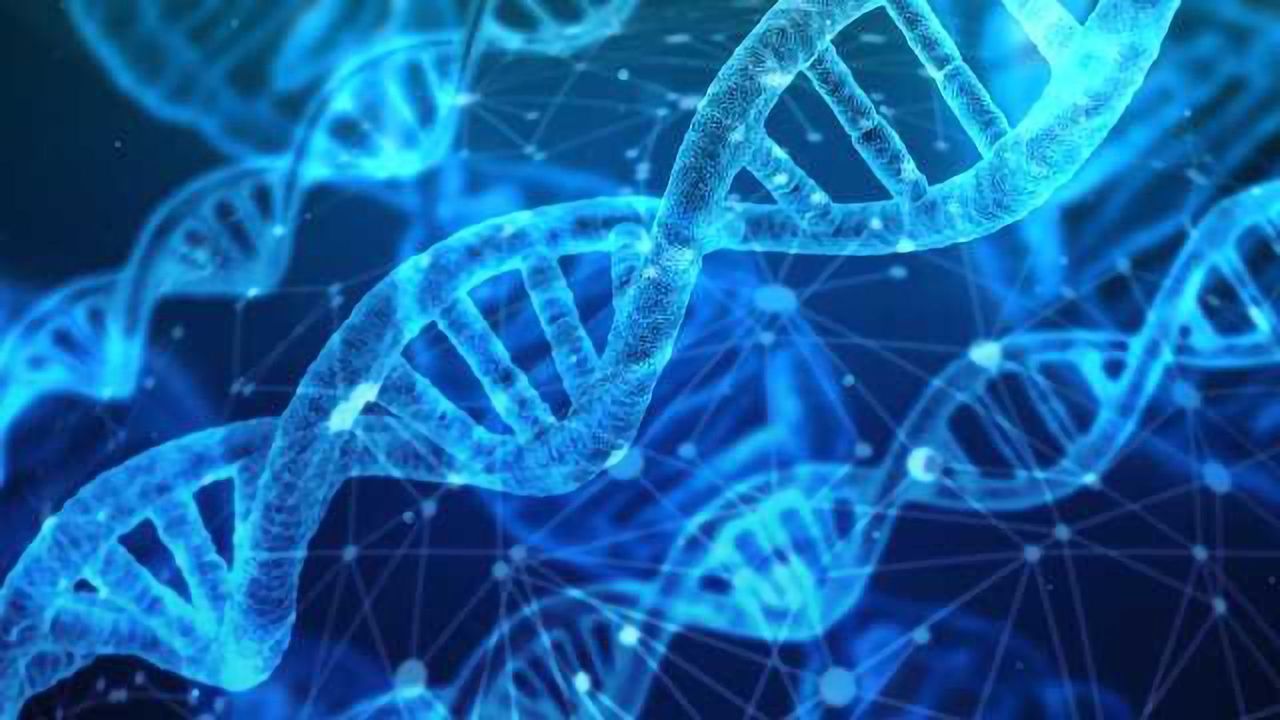 Discovery of First Genetic Variants Associated with Meaning in Life