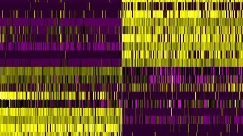 Every Cell Has a Story to Tell in Brain Injury