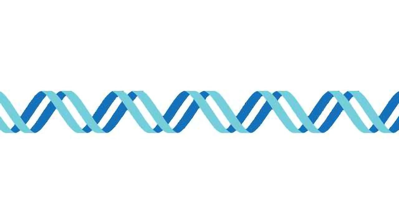 Computer Model Finds the Best Spot to Split Proteins