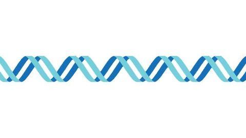 Computer Model Finds the Best Spot to Split Proteins