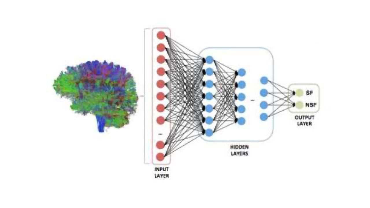 Teaching AI to Predict Epilepsy