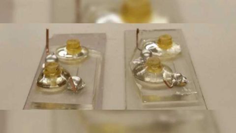 How to Make a Lab-on-a-chip Clear and Biocompatible