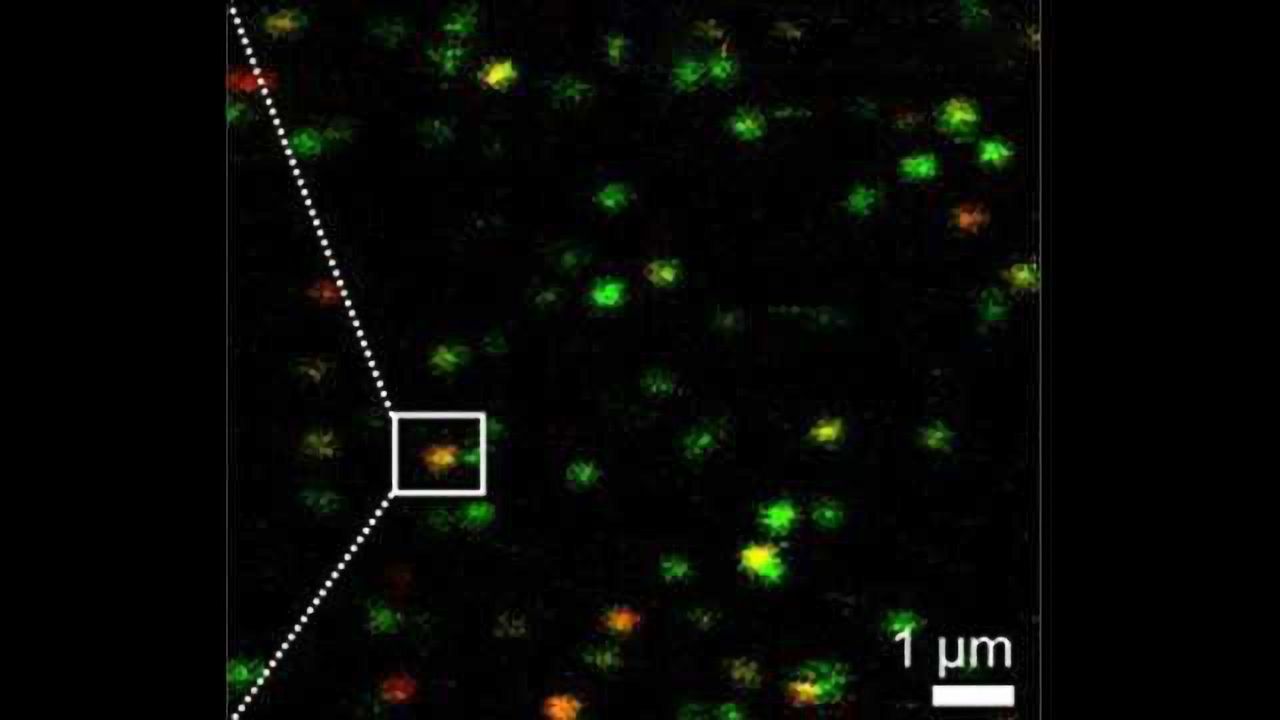 How Membrane Proteins Change When Substrate is Exported
