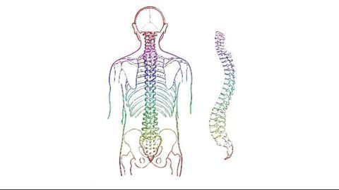 Gene Signature Could Predict Recovery After Spinal Cord Injury