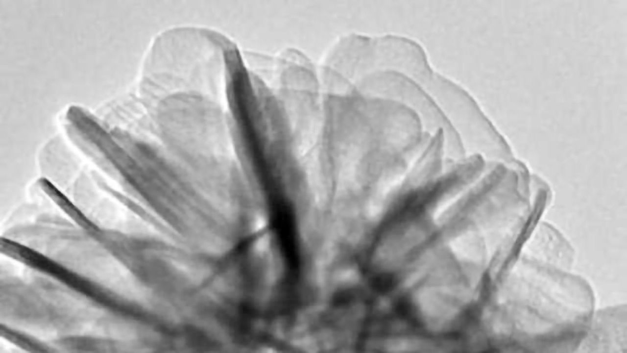 Cleaning up Water with a Molecular Venus' Fly Trap