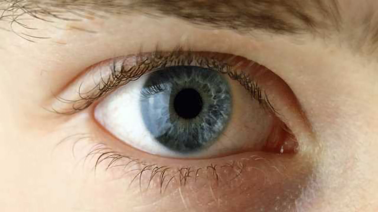 Gene Therapy Trial a Success in Treating Rare Form of Blindness