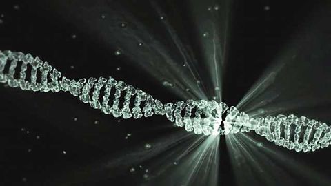 Epigenetic Profiling Improved by Using Enzyme, Rather than Chemical, Deamination