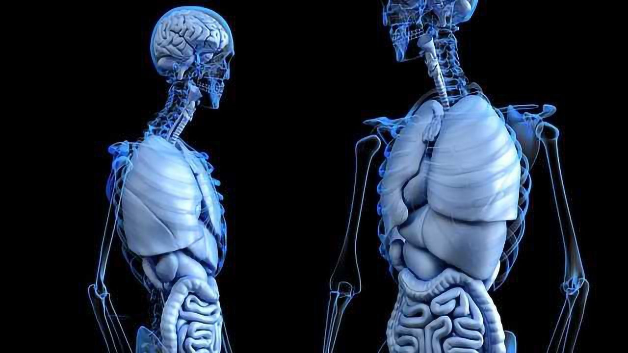 Tracking Gut-derived Metabolites