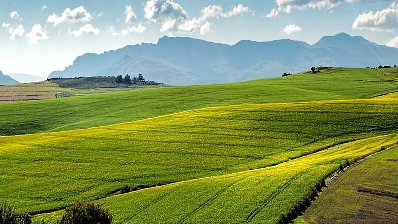 Fertilizer Then, Equals Water Pollution Now