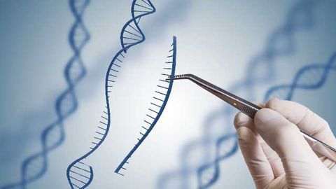 CRISPR Hunts Out Alzheimer's Biomarker