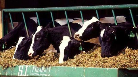 Uncovering the Food Chain’s Hidden Dangers: Low Level Dioxin Quantification by GC-MS/MS