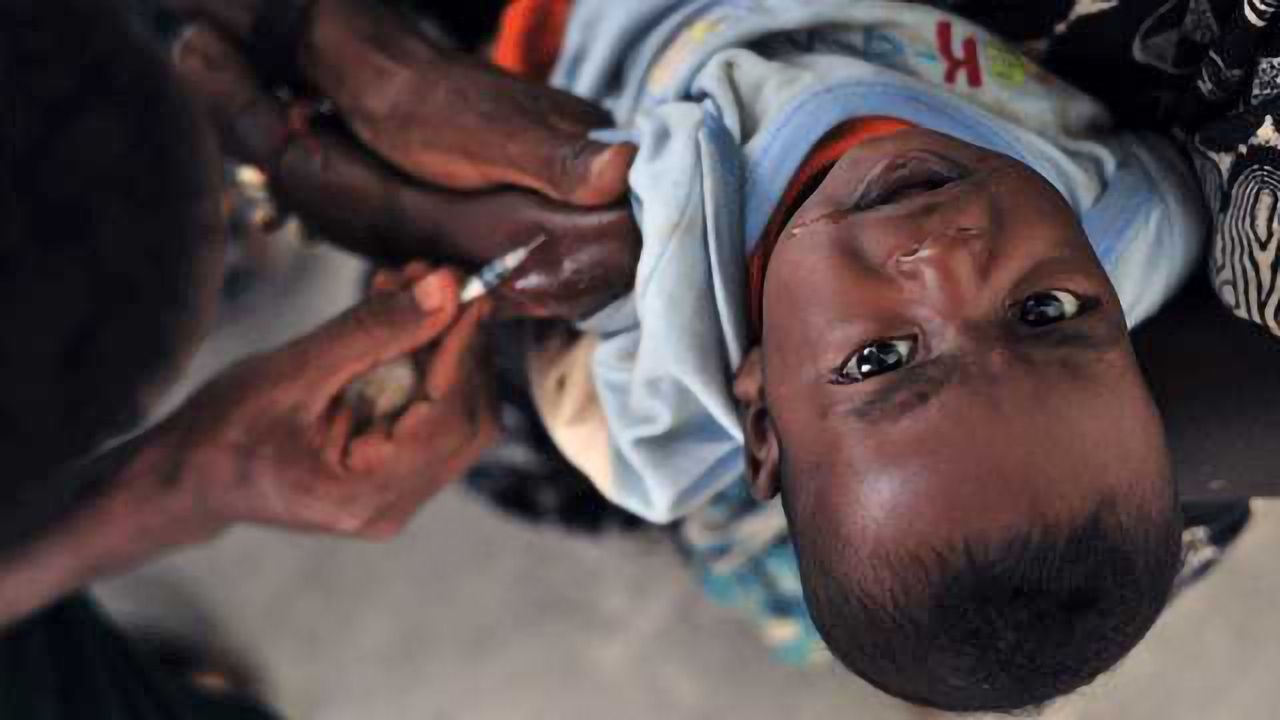 Lassa Fever Vaccine Shows Promise and Reveals New Test for Immunity