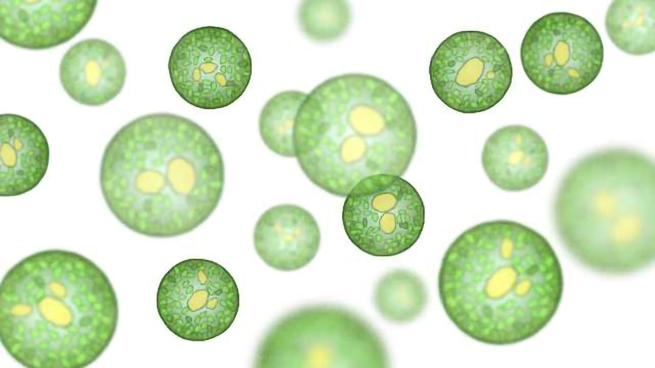 A Faster Way to Quantitatively Profile the Lipidome