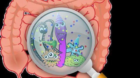 Microbial Classification Reveals Hidden Secrets