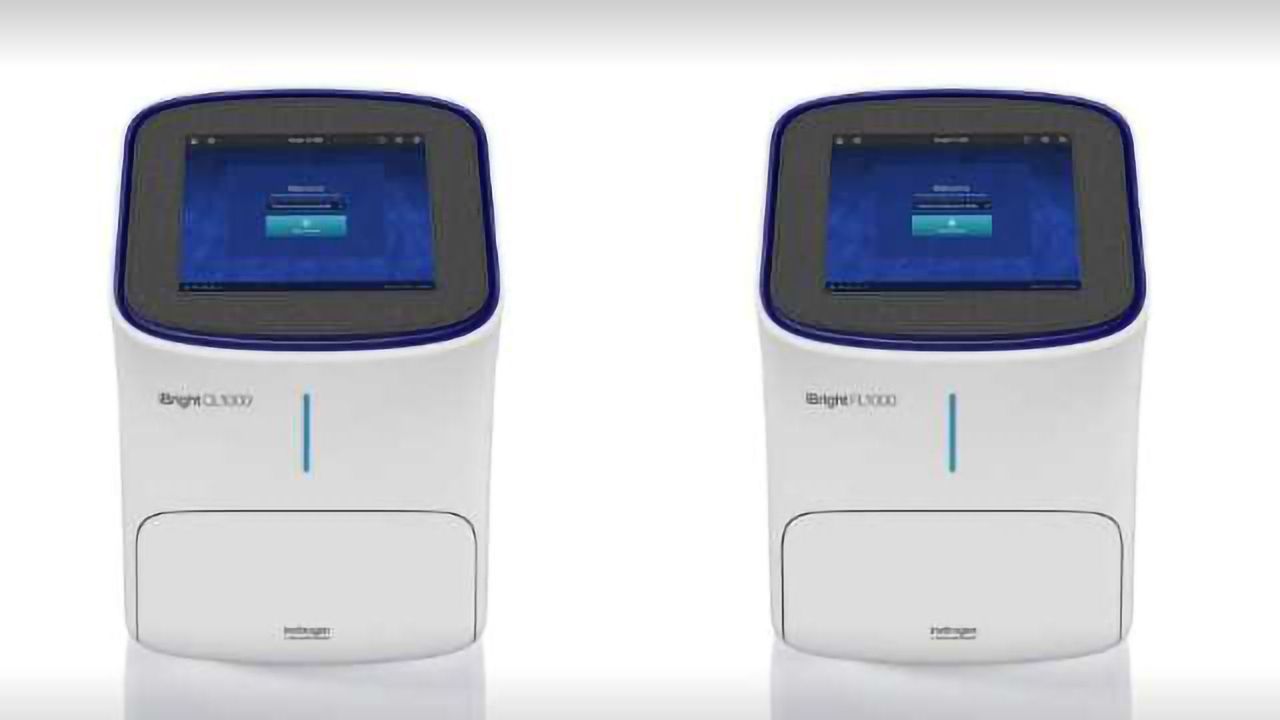 iBright Imaging Systems
