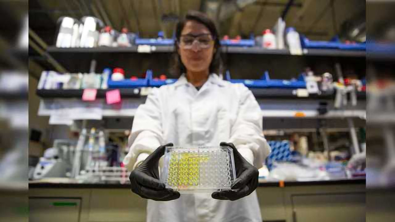 Urine Point-of-care Test Detects Antibiotic-resistant 'Superbugs'
