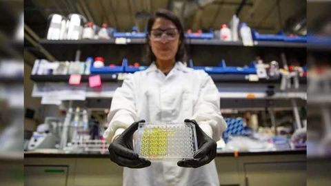 Urine Point-of-care Test Detects Antibiotic-resistant 'Superbugs'