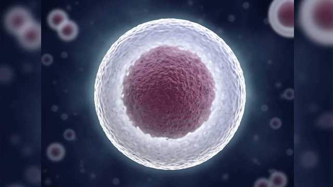 Through the Looking Glass of Single Cell Proteomics