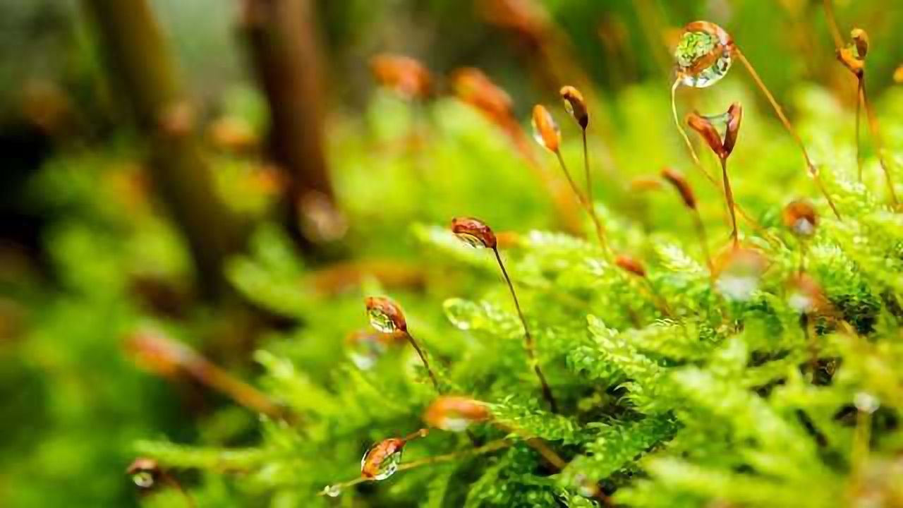 Pollutant Tracking Goes Back to Nature