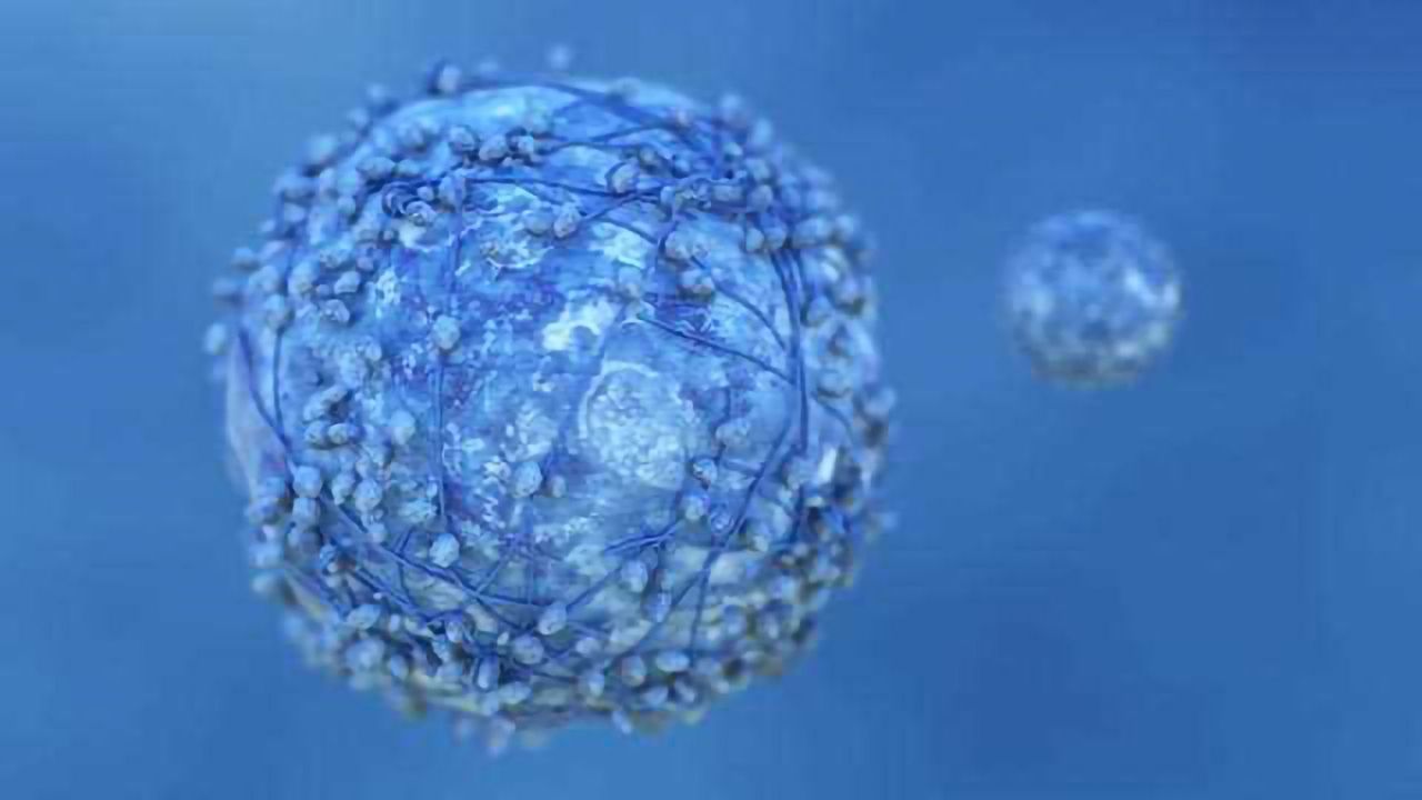 Why Some Cancers Affect Only Young Women