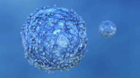 Why Some Cancers Affect Only Young Women