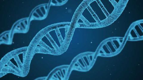 Tracking Down Missing-in-Action Multiple Sclerosis Genes