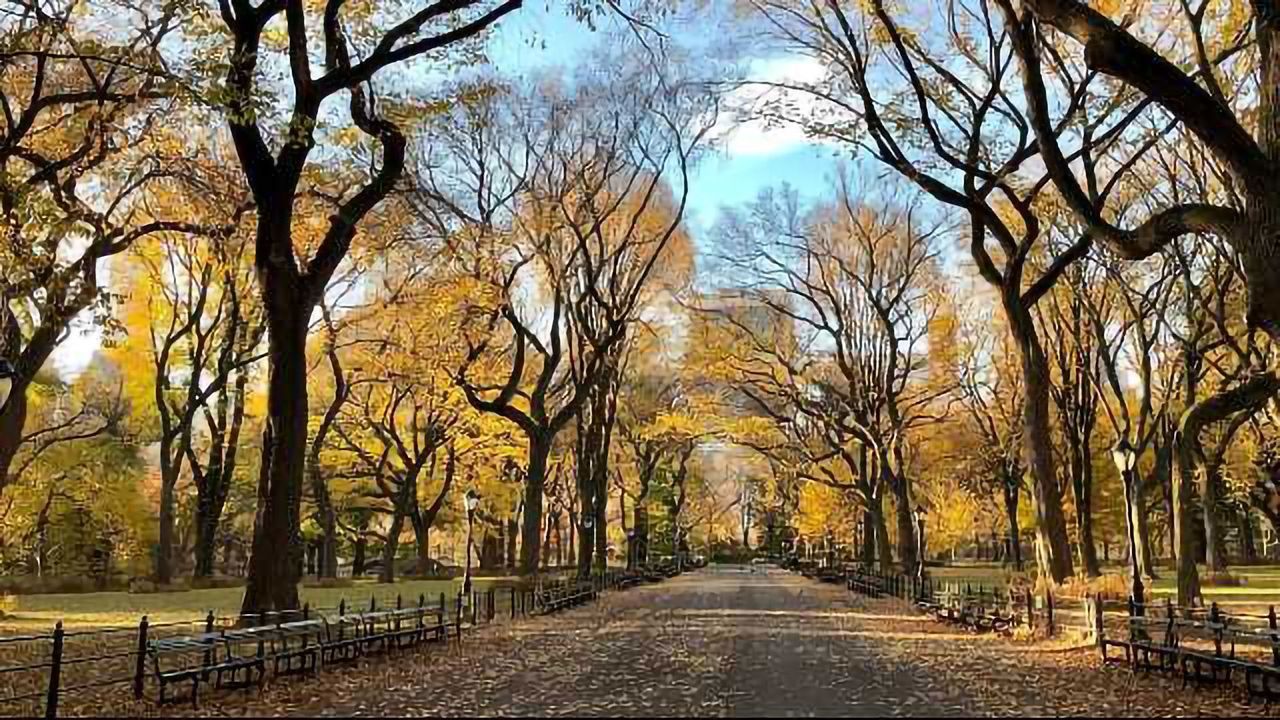 Workers Who Commute Through Nature Report Better Mental Health
