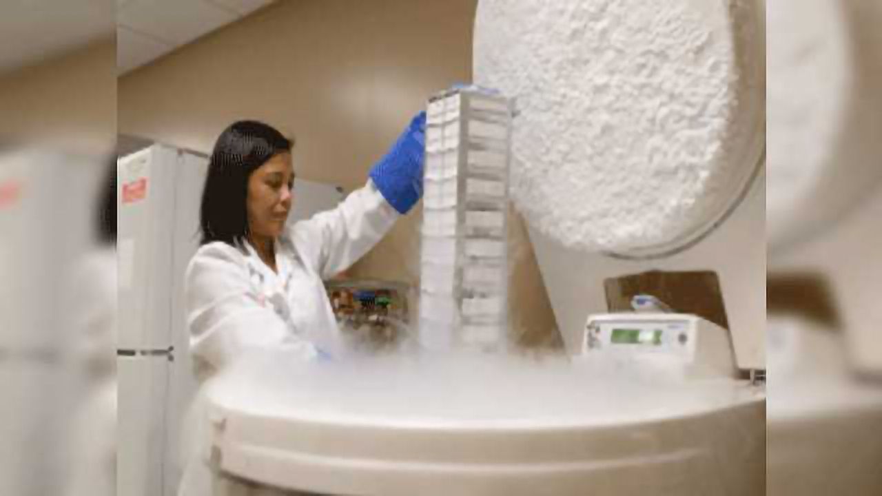 Glioblastoma Overcomes Treatment Resistance in Promising Preclinical Study