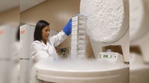 Glioblastoma Overcomes Treatment Resistance in Promising Preclinical Study