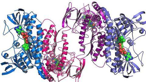 Caught in the Act: Key Moments in Cell Death Captured